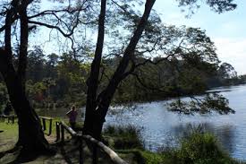 PARQUE DO CARMO GANHA NOVOS EMPREENDIMENTOS E SE TORNA FOCO DE VALORIZAÇÃO IMOBILIÁRIA NA ZONA LESTE